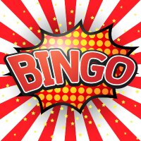 seobingo profil fotoğrafı