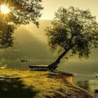 alarakiyi profil fotoğrafı
