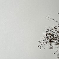 ruyaperestblog profil fotoğrafı