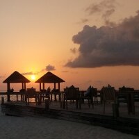 adiguzelebru profil fotoğrafı