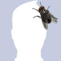 aturgutt profil fotoğrafı