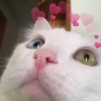 slmnmore profil fotoğrafı