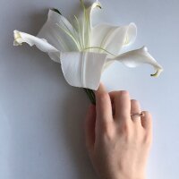 ladybugg profil fotoğrafı