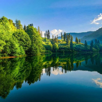 damla272 profil fotoğrafı