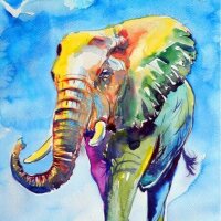 cgesdesign profil fotoğrafı