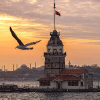 muhittincosgun profil fotoğrafı
