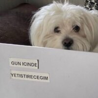 beyzakru profil fotoğrafı