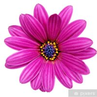 kartopum profil fotoğrafı