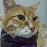 cansukrgc profil fotoğrafı