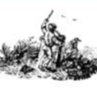 ygtdo profil fotoğrafı