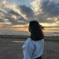 alefmedya profil fotoğrafı