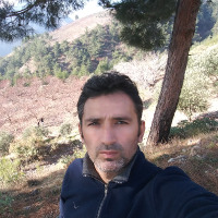 hgezgin1 profil fotoğrafı