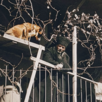 mehmetcanjs profil fotoğrafı
