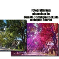 ozlemduygulu profil fotoğrafı