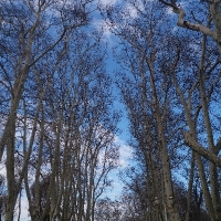 silinen1405092 profil fotoğrafı