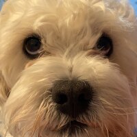 ilksensengun profil fotoğrafı