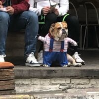 fbusemert profil fotoğrafı
