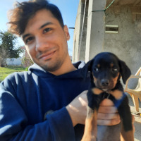 mertabbak1 profil fotoğrafı