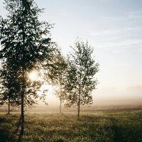 ezgimineokur profil fotoğrafı