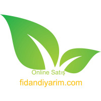 fdndyr profil fotoğrafı
