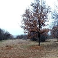 mesutcan profil fotoğrafı