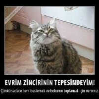 anonimkedi profil fotoğrafı
