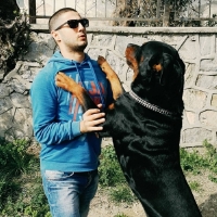 erdemoralalp profil fotoğrafı