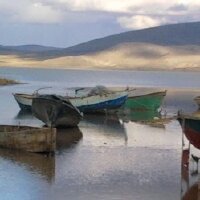 erensimsek profil fotoğrafı