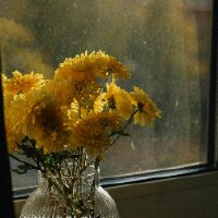 zehratasdemir1 profil fotoğrafı
