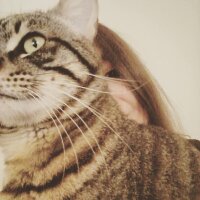 dnzbgh profil fotoğrafı