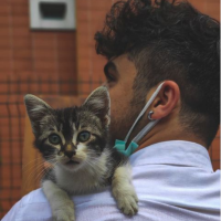 related profil fotoğrafı