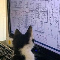 mnulker profil fotoğrafı