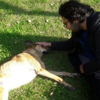 matteach profil fotoğrafı