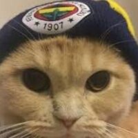 muhammetakg profil fotoğrafı