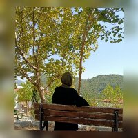 nurdantekin profil fotoğrafı