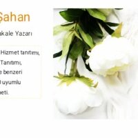 mervesahan7 profil fotoğrafı