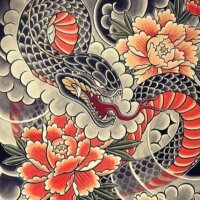 chengong profil fotoğrafı