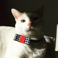 oguzkoseoglu profil fotoğrafı