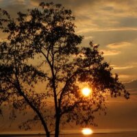 rifdem profil fotoğrafı