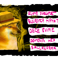 seefgrr profil fotoğrafı