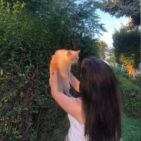 thezeyniremk profil fotoğrafı