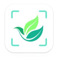 dudiifee profil fotoğrafı