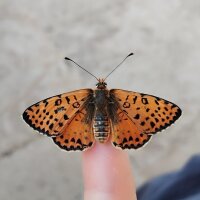 hakum93 profil fotoğrafı