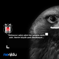 akman5934 profil fotoğrafı