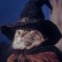 editwizard profil fotoğrafı