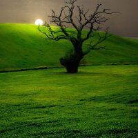 fatm_kaplann profil fotoğrafı