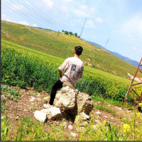 alikosar49 profil fotoğrafı