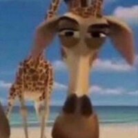 muticy profil fotoğrafı