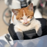 ahmetcanavci profil fotoğrafı