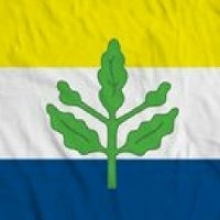 fonservis profil fotoğrafı